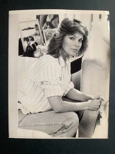 PRISCILLA PRESLEY -   Rare Original Press Photo