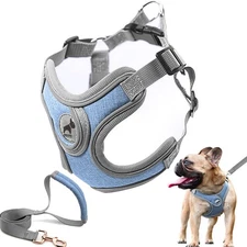 Dog Harness and Leash Set Adjustable Step-in Padded Vest for Dogs Blue L