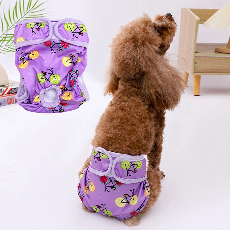 Nappies top for puppies