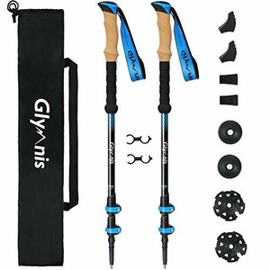 ebay hiking poles