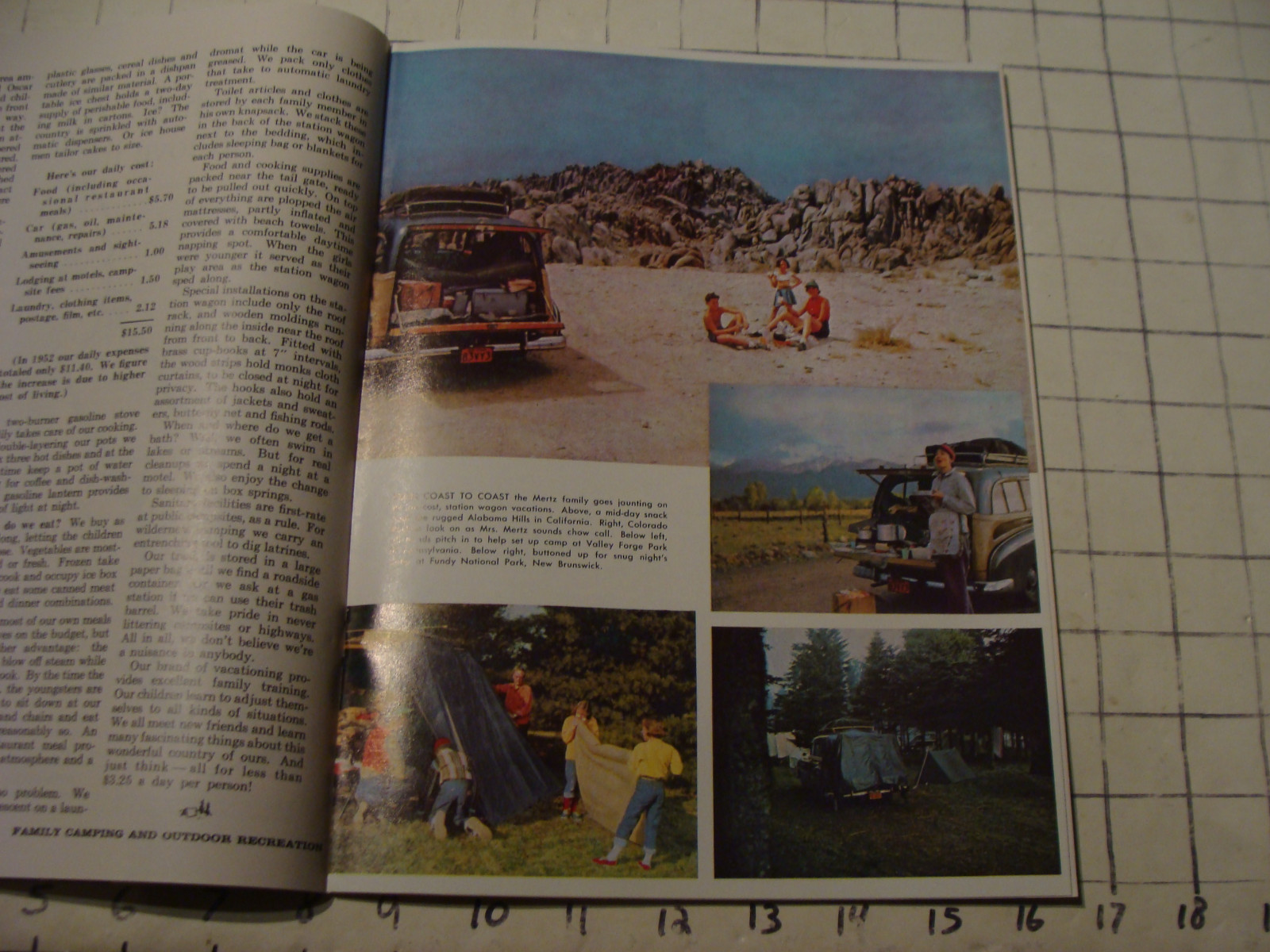 Picture 7 of 9