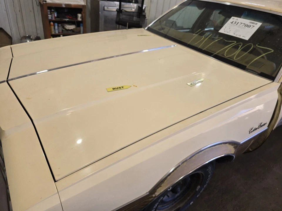 Hood Fits 77-79 OLDSMOBILE 647875 — 第 3/4 张图片