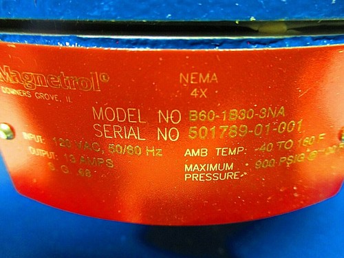 Interruptor de nivel MAGNETROL B60-1B30-3NA 4" 300 brida 120VAC 13AMP 50/60Hz - Imagen 4 de 10