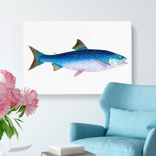 Alpine Charr Fish Animal Vintage Edward Donovan Canvas Wall Art Print Framed - Picture 5 of 7