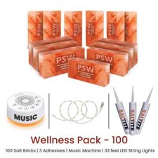 Himalayan Salt Bricks 8x4x2 Wellness Pack of 100 For Salt Spa, Sauna Walls