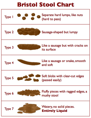 Bristol Stool Chart fridge magnet for NURSES & DOCTORS NHS - Imagen 5 de 5