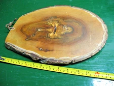 VINTAGE   TREE  TRUNK WOOD  SLAB / TRIVET  WALL  MOUNT 12''  X 9'' UNIQUE RINGS