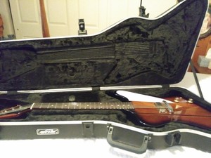 epiphone firebird hard case