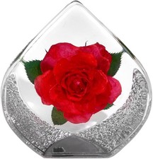 Preserved Red Rose in Resin,Teardrop Shaped Real Rose Gift Set Perfect Roses Pre
