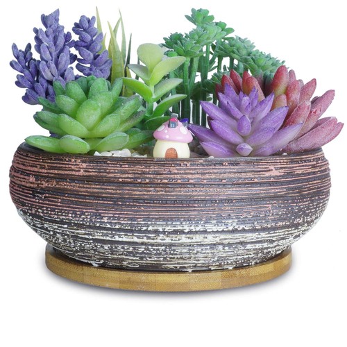 Succulent Planter Large Succulent Pots with Drainage Bamboo Tray 8 Inch Cera