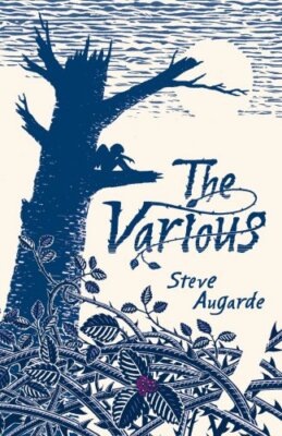 The Various: The Touchstone Trilogy: 1 Augarde, Steve
