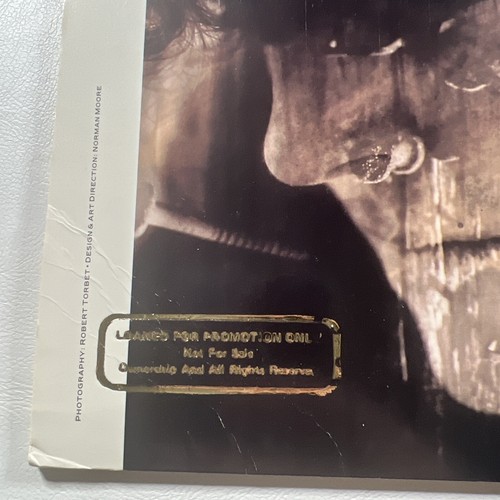 Patrick O'Hearn “Rivers Gonna Rise” LP/Private Music 2029-1-P (EX) Promo 1988 - Picture 3 of 6