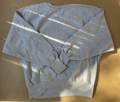 チャンピオン　リバースウィーブ　charlotte hornets Vintage Charlotte Hornets NBA Champion Reverse weave Sweat