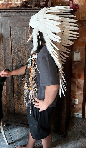 Indian Headdress Original Little Big Horn Coiffe Indienne War bonnet Decoration - Picture 4 of 4