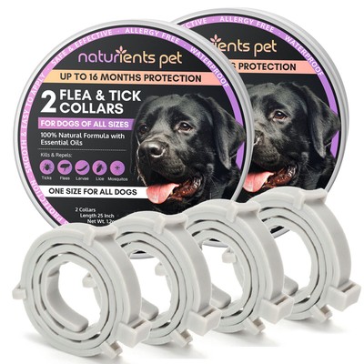 ebay dog flea collars