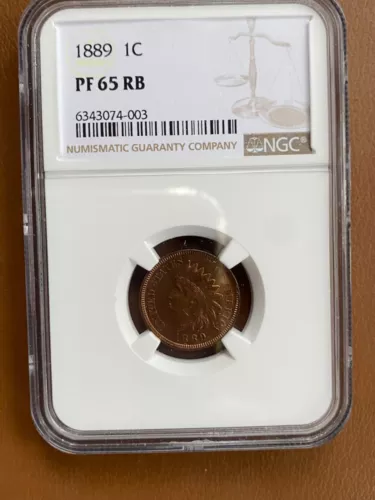 1889   INDIAN HEAD CENT    NGC PF65RB  PROOF     GEMMY