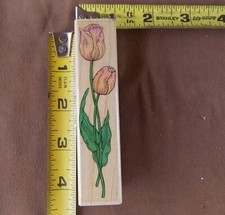 4 1/8" x 1" Tulips F895 Rubber Stamp - Hero Arts