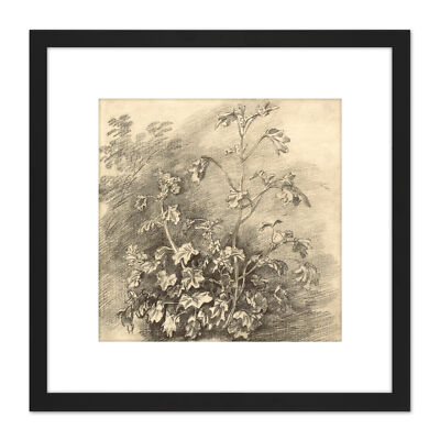 Gainsborough Studie der Malven 1750er Gemälde quadratisch gerahmt Wandkunst 9 x 9 Zoll