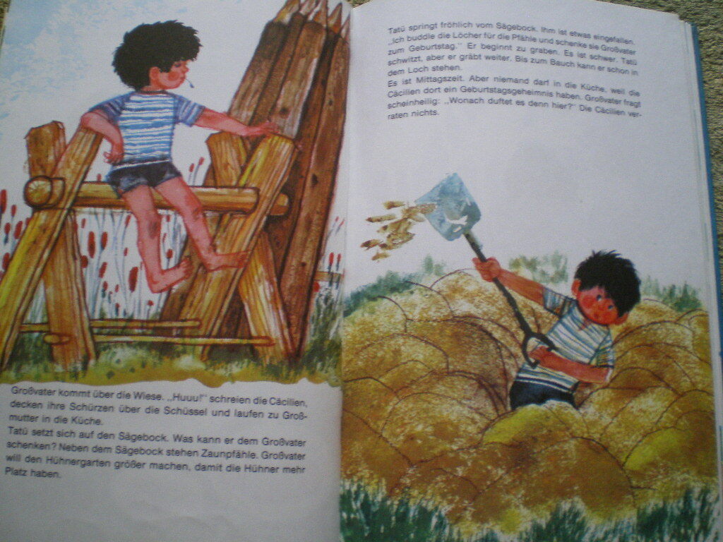 Imagen 6 de 6
