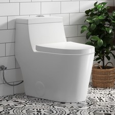One Piece Toilet 12'' Rough-In Toilet Bowl 0.8/1.28 GPF Dual Flush for Bathroom