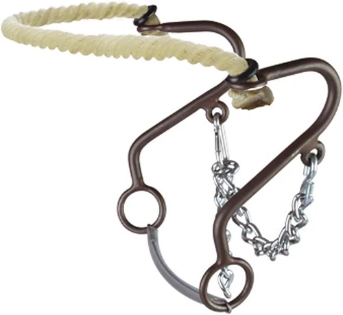 Westen at Rope Nose Little S Hackamore