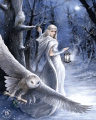 ANNE STOKES ART - MIDNIGHT MESSENGER 3D PICTURE PRINT 300mm x 400mm