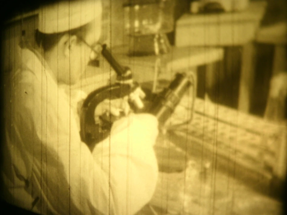 16mm Soviete education " Cap mushrooms " Film b/w Movie Nature - Image 4 of 4