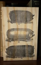 Rustic Pine Sign Victorian image of pigs