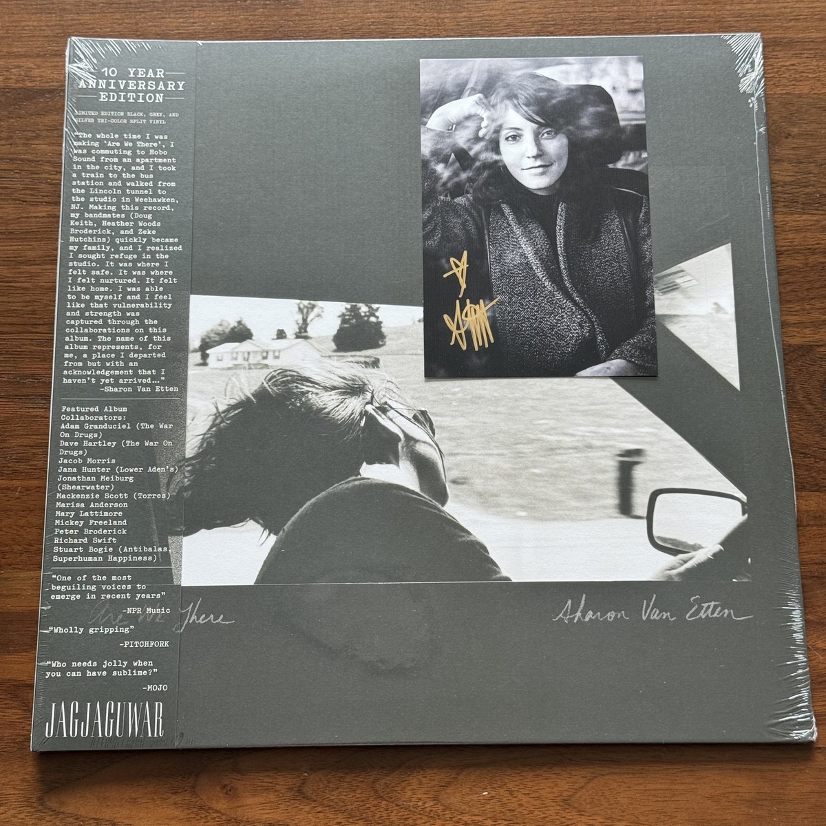 Sharon Van Etten - Are We There - ⚫️🌑⚪️ Black Grey Silver LP
