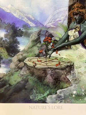 MTG✨Artist Signed NATURE'S LORE Art Print/Card✨ MINT SORCERY
