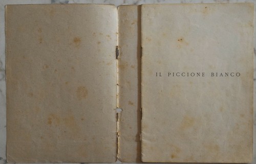 Il Piccione bianco ed altri racconti : Con illustrazioni di Carlo Salodini. - - Foto 2 di 12