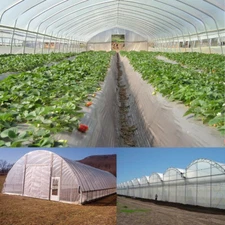 25FTx40FT 6 Mil Thick Clear Plastic Greenhouse Poly Film Cover Shade Tarp 5 Year