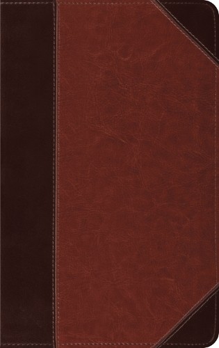 ESV Thinline Bible, Red Letter - 9798874903626