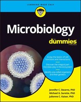 Microbiology For Dummies | Jennifer Stearns (U. A.) | Englisch | Taschenbuch