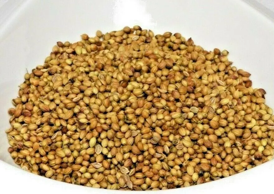 Coriander seasoning outlet