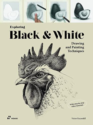 Exploring Black and White: Drawing and Painting Techniq - Paperback NEW Escandel