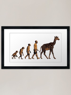 Evolution gerahmter Kunstdruck gerahmtes Wandbild Poster Leinwanddruck Bild