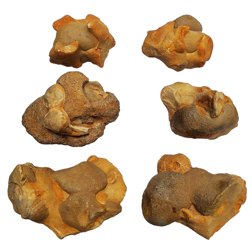 Bundling 5pcs Sandstone VIEWNG WATER Stone Rough SUISEKI Cluster Cyrstal Calcite - Picture 2 of 9