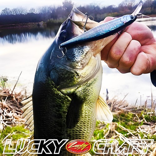 Puntero delgado Lucky Craft 112MR - 052 negro Aurora (1 cantidad). - Imagen 7 de 7