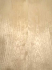 Bouleau Placage Bouleaux Furnierholz Avec non-Tissé 250x61-64cm Large Placage