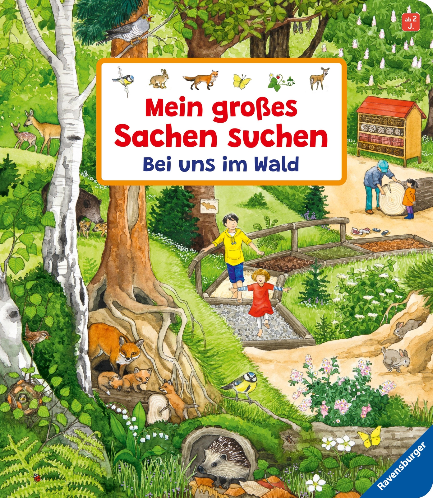 Thumbnail - Mein Großes Sachen Suchen: Bei Uns Wald Susanne Gernhäuser