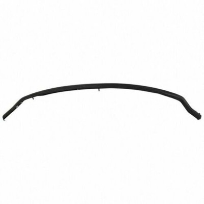 Genuine Ford F-150 Front Bumper Trim Panel Lip Center (2018-2019