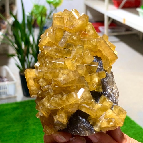 1.39LB Natural Beautiful Shiny Golden Barite Crystal Healing - Picture 13 of 17