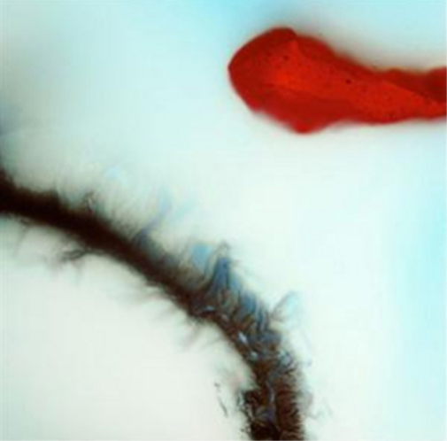 Stubborn Heart Stubborn Heart (Vinyl LP) 12" Album