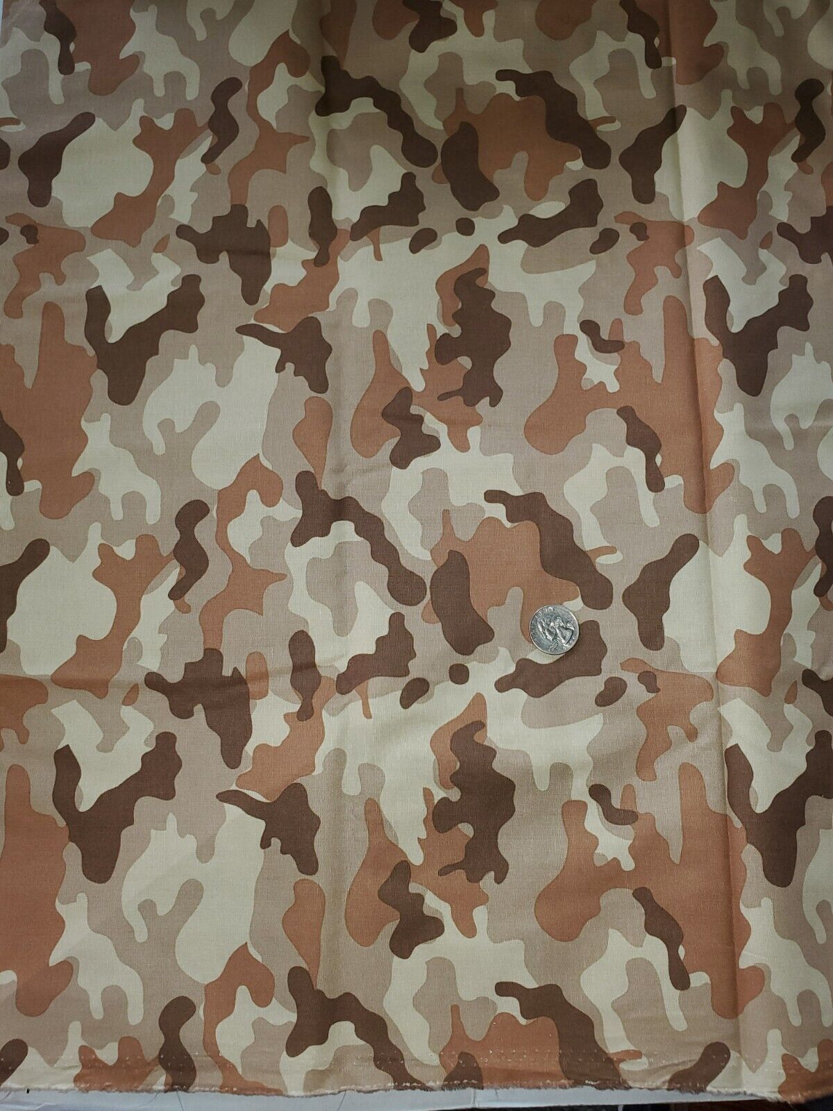 Foto 3 di 3