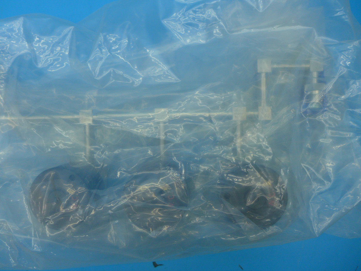 Picture 4 of 8