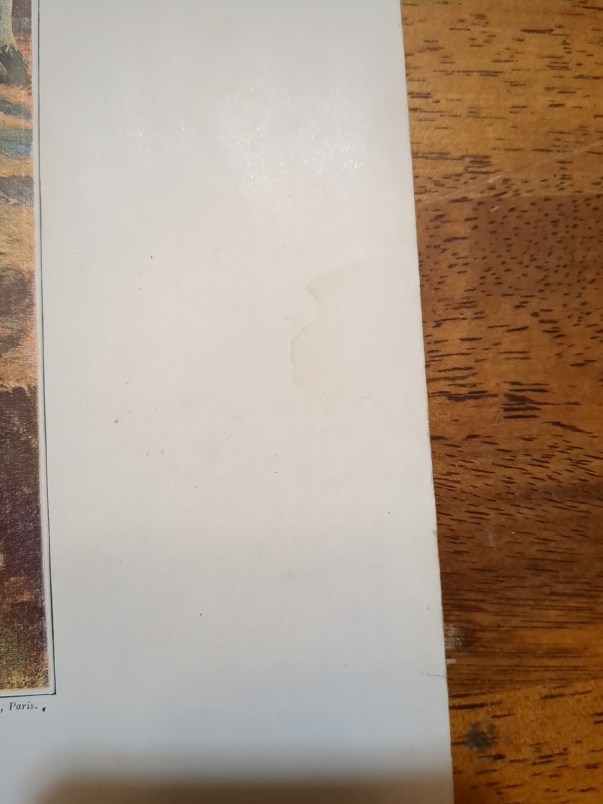 Picture 11 of 13