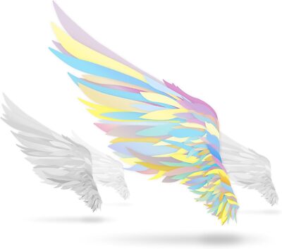 Tsubasa Wo Motsu Mono -Not An Angel Just A Dreamer- O.S.T.