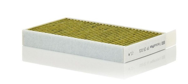 Innenraumfilter Pollenfilter 244Mm FüR Tesla Model 3 5Yj3 Y 21-> 1107681-00-C-image