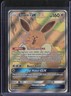 2019 Pokemon Sun & Moon Black Star Promo #SM233 Eevee GX #2